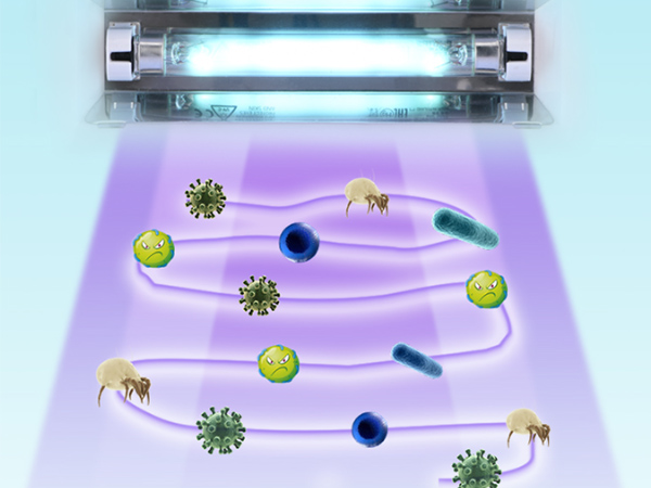衣物烘干機 衣物烘干機