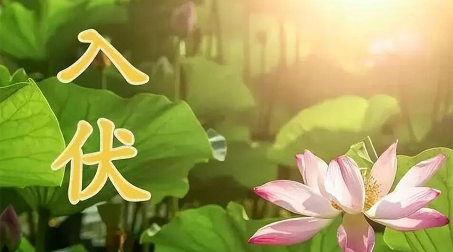 入伏天來襲！金環(huán)電器提醒大家要注意的事項