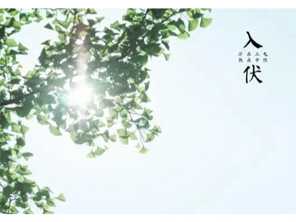 金環(huán)電器 金環(huán)電器
