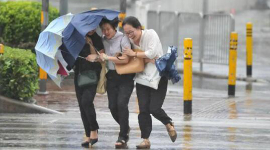 家有衣物烘干機，無懼臺風(fēng)天吹走和淋濕衣物！