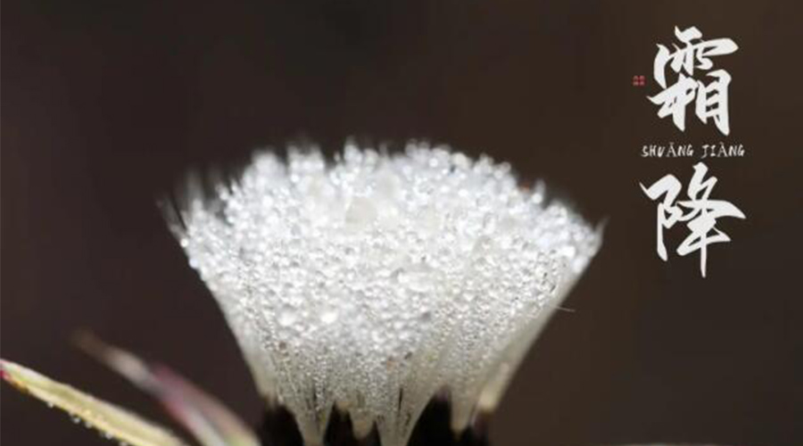 霜降時節(jié)！金環(huán)電器提醒大家要注意的事項