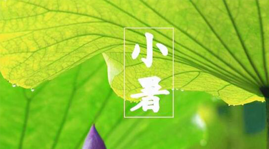 金環(huán)電器提醒 小暑時(shí)節(jié)要注意這些禁忌 金環(huán)電器提醒 小暑時(shí)節(jié)要注意這些禁忌