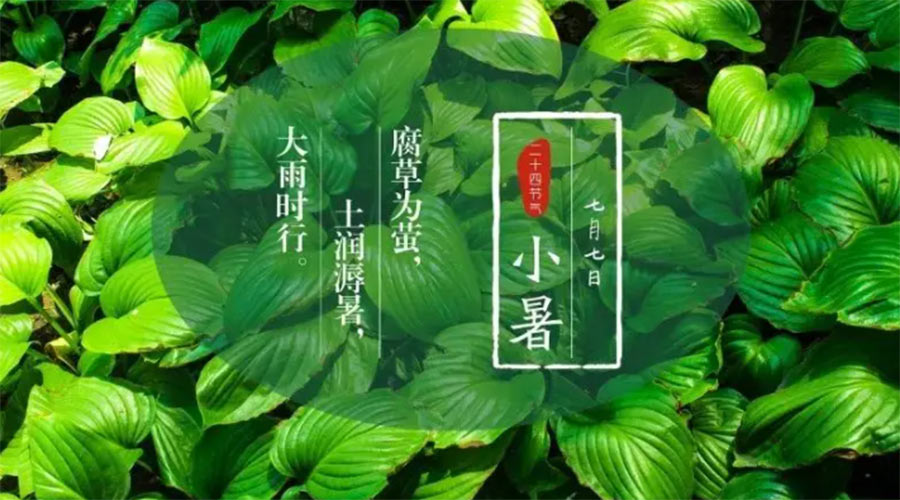 小暑時(shí)節(jié)來到！金環(huán)電器提醒大家要注意的事項(xiàng)