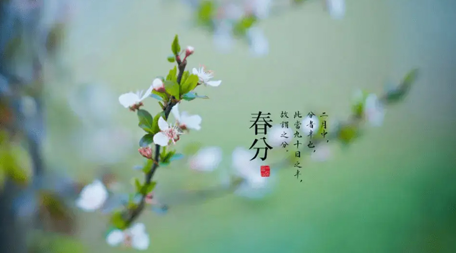 春分雨水多易生菌！金環(huán)電器提醒你衣物要注意處理