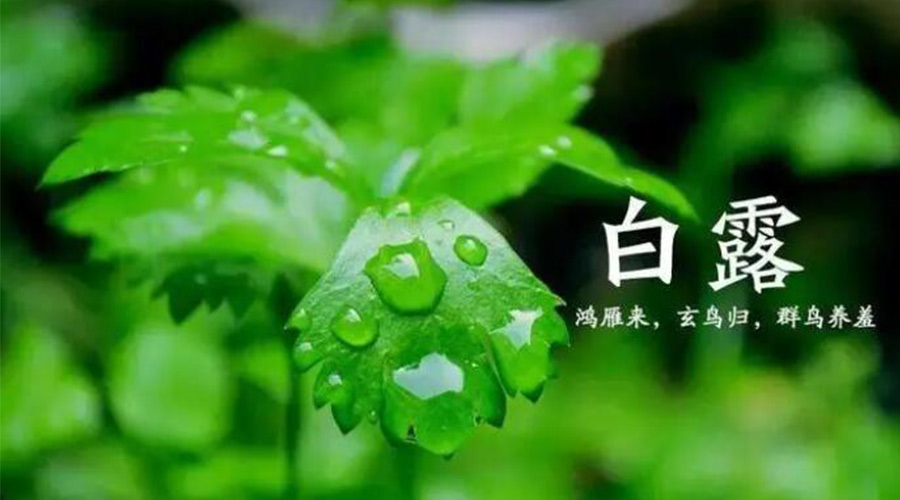 白露時節(jié)！金環(huán)電器提醒大家要注意的事項