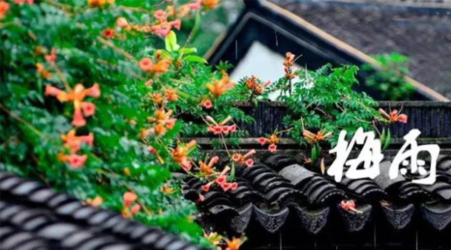 什么是梅雨？梅雨如何形成？  金環(huán)電器告訴你答案